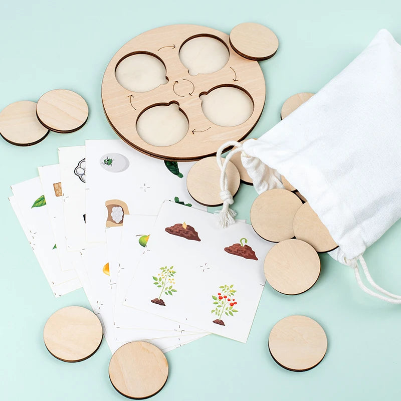 LifeQuest Montessori: Descubriendo los ciclos de la naturaleza