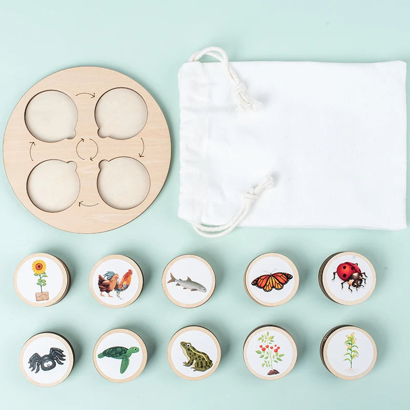 LifeQuest Montessori: Descubriendo los ciclos de la naturaleza