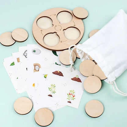 LifeQuest Montessori: Descubriendo los ciclos de la naturaleza