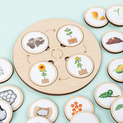 LifeQuest Montessori: Descubriendo los ciclos de la naturaleza